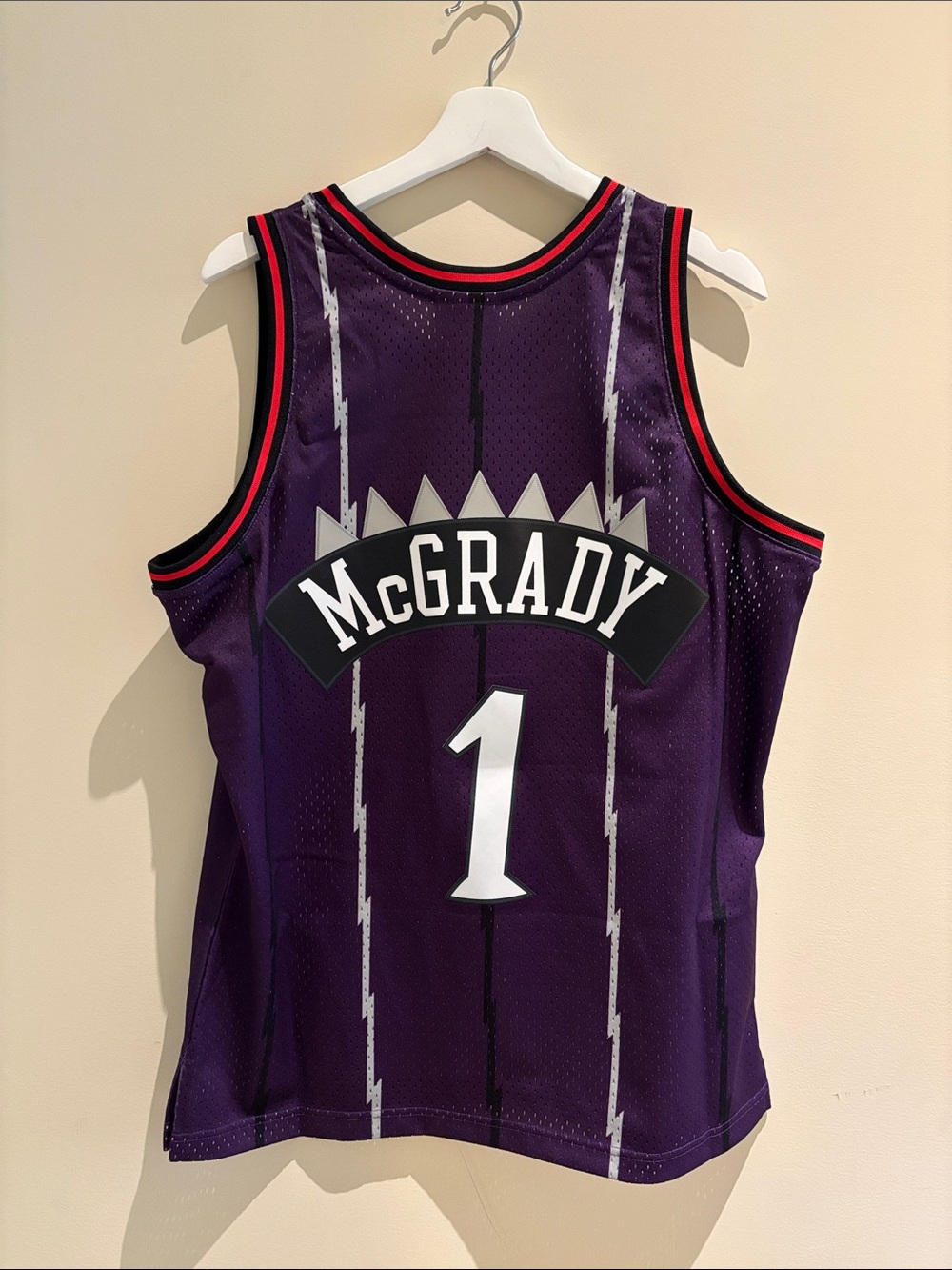 Retro Raptors Jersey (Mitchell & Ness)